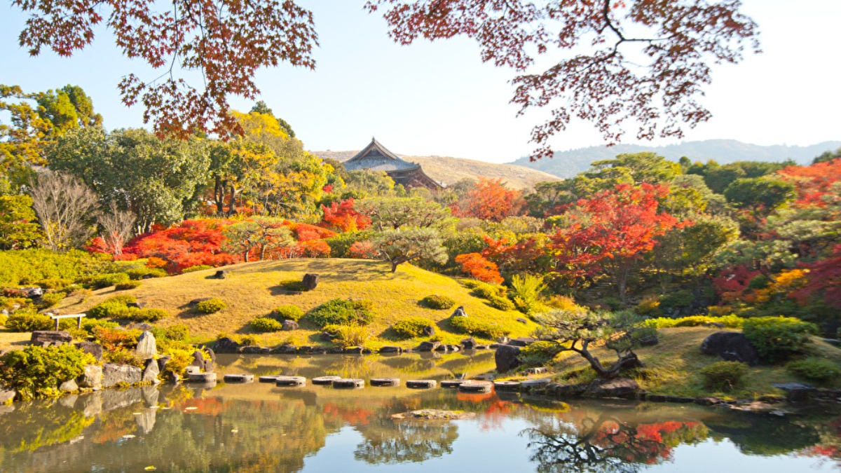静寂に包まれた二種の日本庭園に色づく紅葉の美【紅葉2022｜依水園｜奈良市】