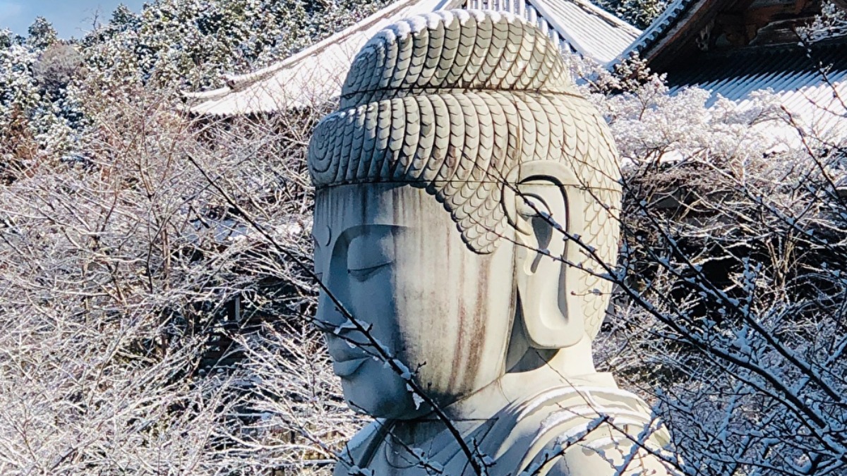 雪大仏が見られるかも？眼病封じのお寺で初詣【奈良の初詣2023｜壷阪寺｜高取町】