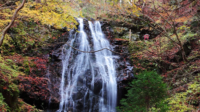 秋の紅葉に染まる自然のパワーあふれる滝【紅葉2022｜不動の滝｜御杖村】