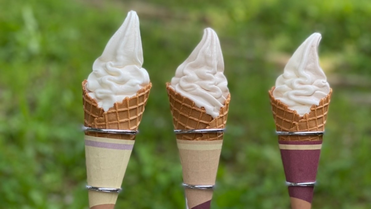 知る人ぞ知る！『県営うだ・アニマルパーク』の黒豆ソフトクリームが話題【アニマルハウス／宇陀市】