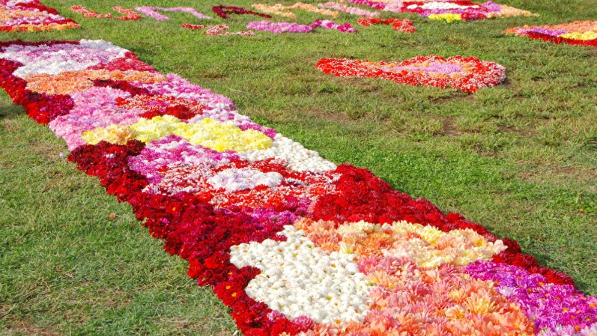 1000株のダリアや秋の花々がおでむかえ！馬見フラワーフェスタ開催！【奈良県営馬見丘陵公園｜広陵町・河合町】