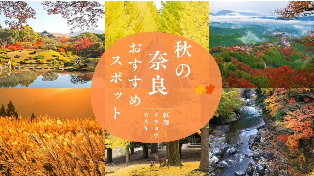 秋の奈良おすすめスポット！紅葉、イチョウ、ススキを見に行こう【2025年版】