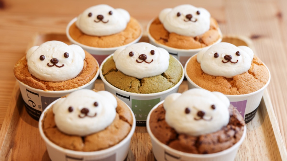 【新店】「シフォンケーキ」と「ランチ」が美味しいお店 【シフォンのお店 PUKKU（プック）｜奈良市】