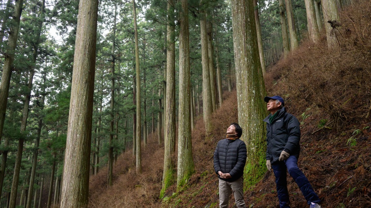 【奈良の木のこと】現代の山主ふたりに聞く！「山を守る」ための新しい林業のカタチ