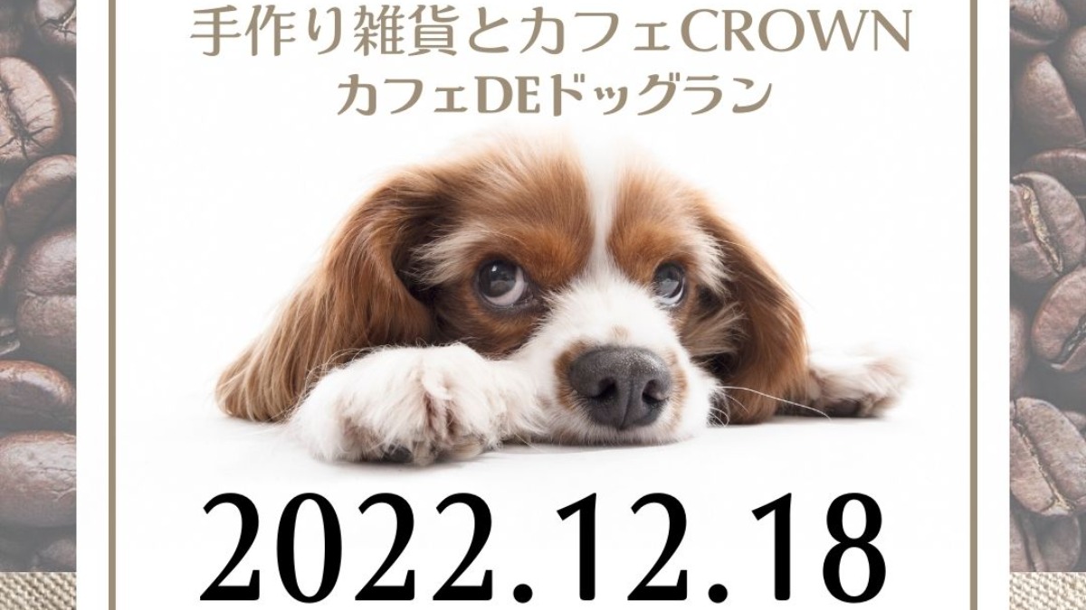 冬のおでかけに！ミニドッグランイベント【奈良市】