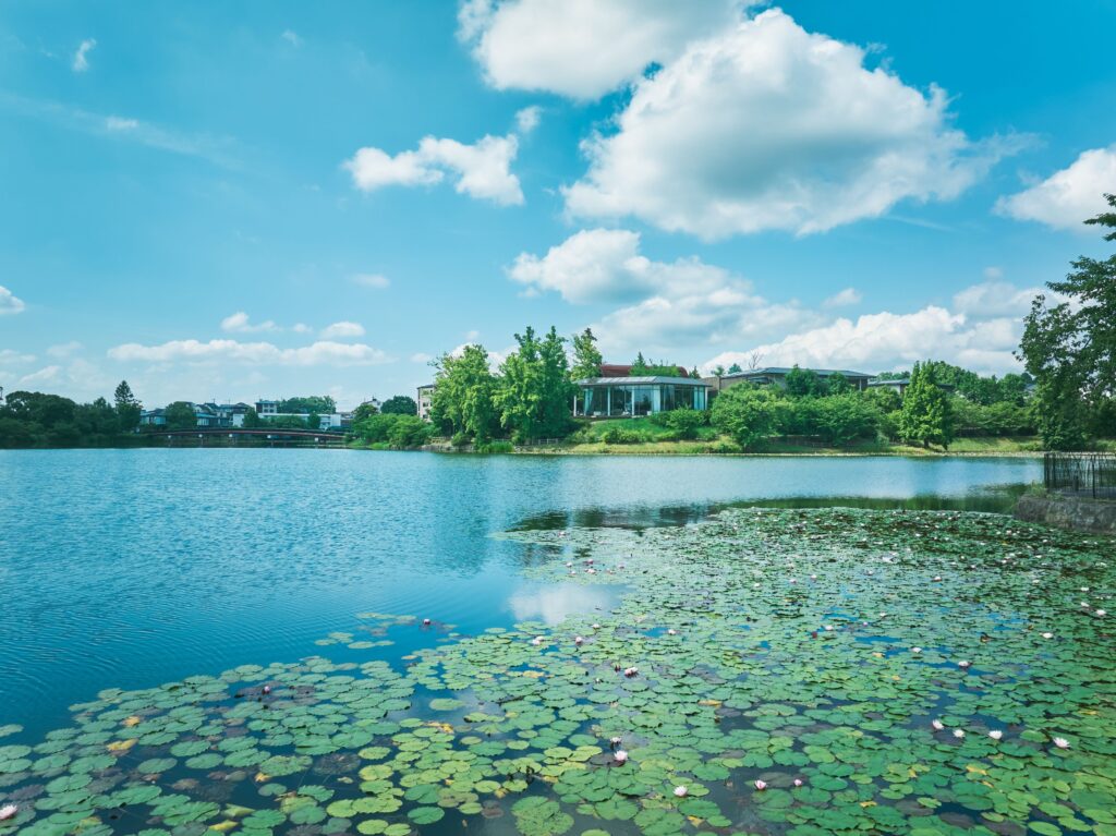 イリスウォーターテラスあやめ池