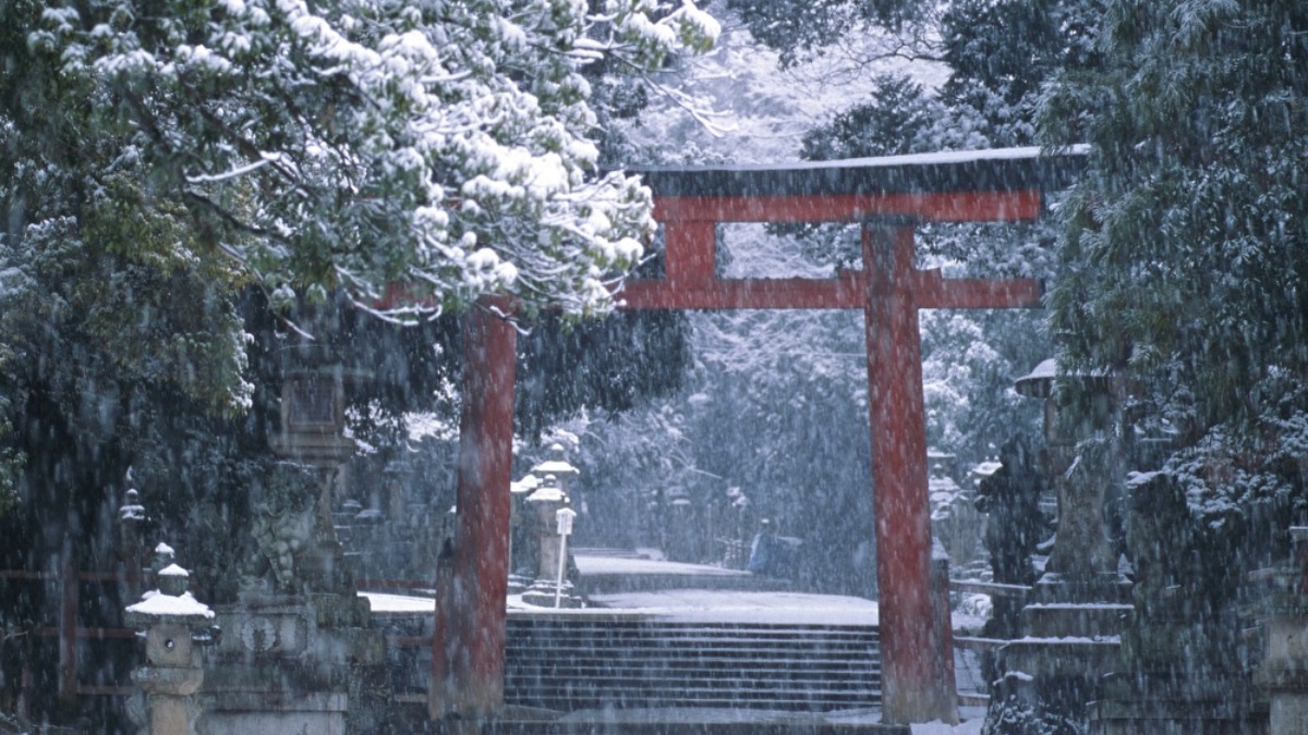 写真家・入江泰吉の目を通して見る「春日野」【入江泰吉記念奈良市写真美術館｜奈良市】