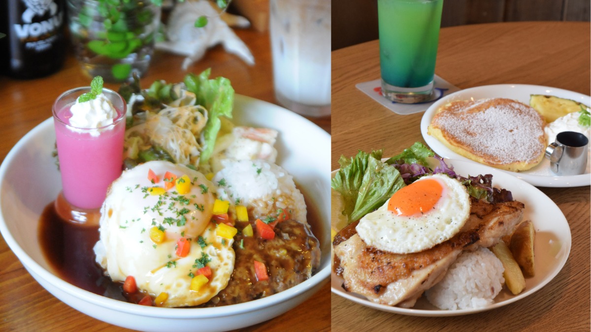 1月31日はアロハの日！奈良県でハワイを感じよう！【奈良県的今日は何の日？】