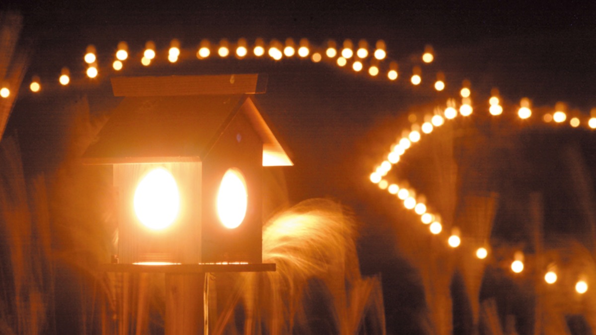 ススキのじゅうたんと幻想的な山灯りと満天の星空！【秋の花2022｜曽爾高原｜曽爾村】