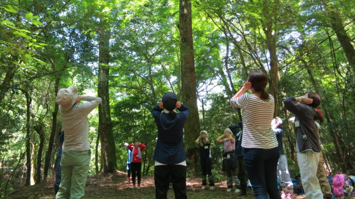 【奈良日帰りツアー特集2023秋】自然を散策するツアー「神山をきくー奈良世界遺産・春日山原始林さんぽ　秋の彩編」｜奈良市観光協会