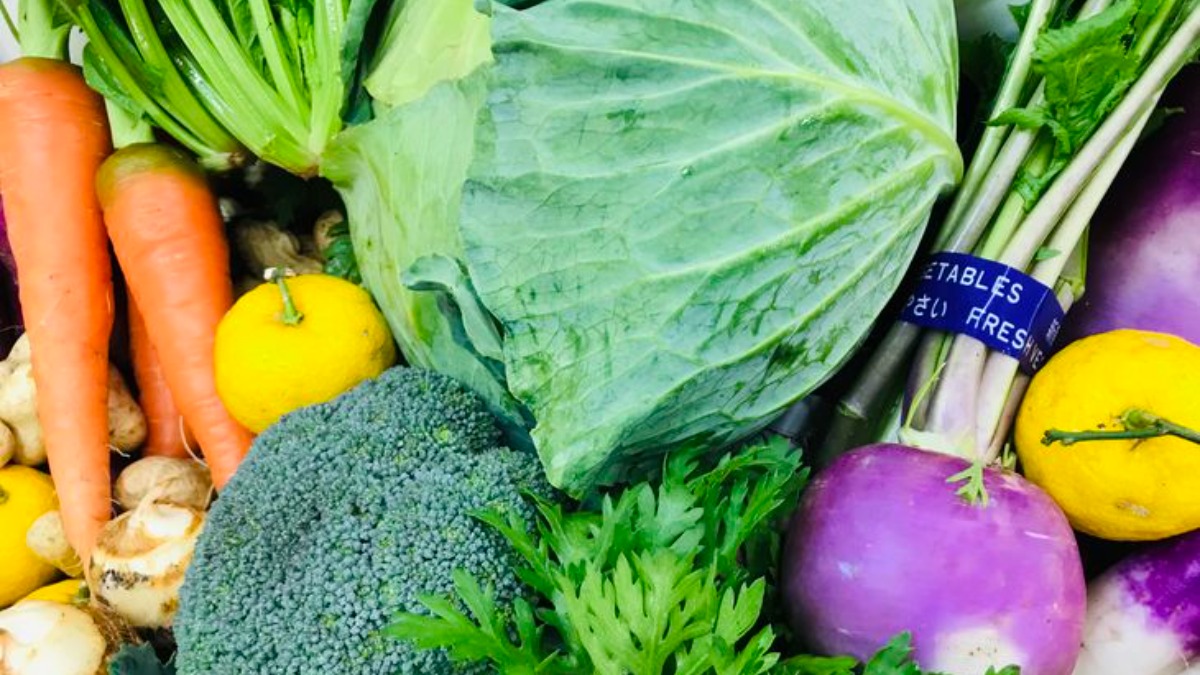 奈良ふるさと納税返礼品まとめ～恵みの野菜・果物編～【2022年版】