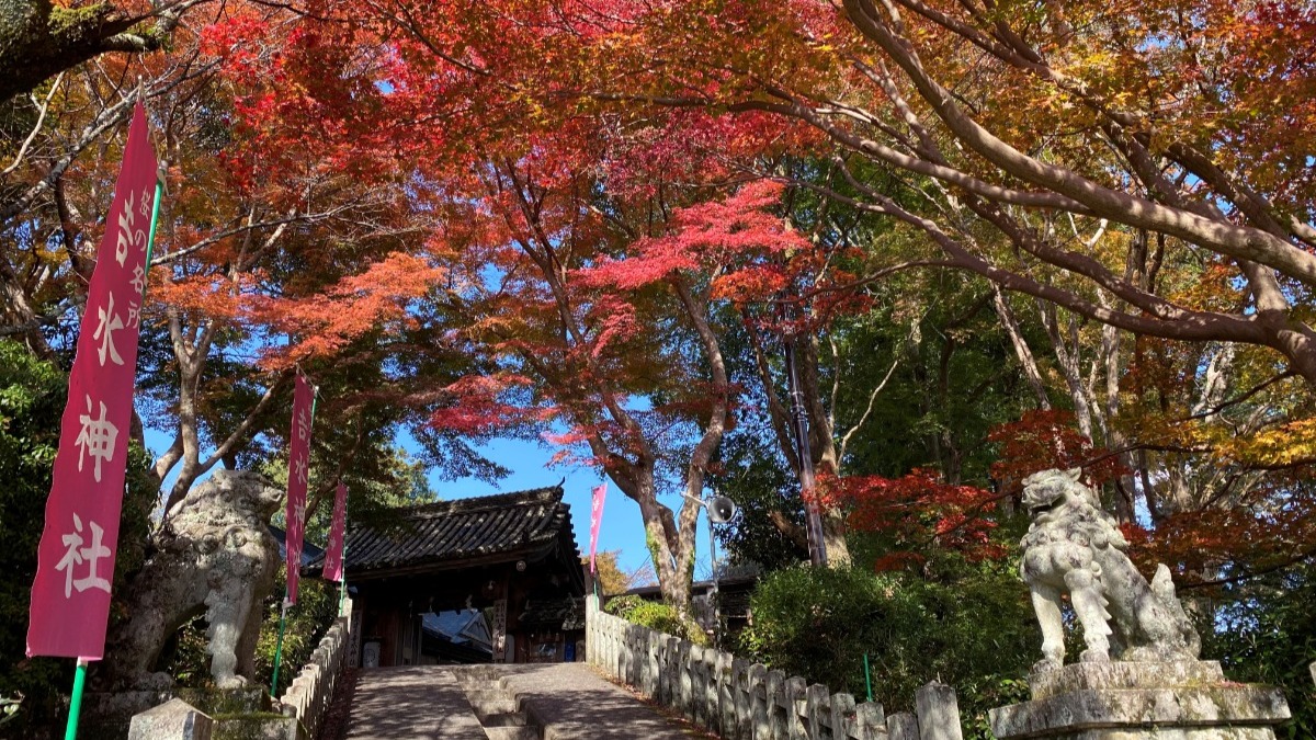 数々の歴史の舞台となった由緒ある神社から望む紅葉【紅葉2022｜吉水神社｜吉野町】