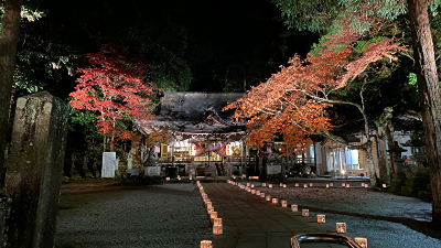 静かな水面に映る幻想的な「逆さ紅葉」が美しい【紅葉2021／等彌神社（とみじんじゃ）／桜井市】