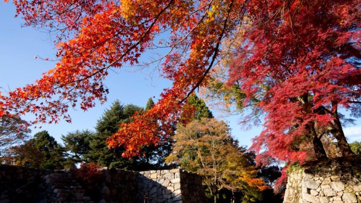 古を感じつつ秋の訪れを楽しむ高取城跡。「たかとり城まつり」も開催！【高取町】