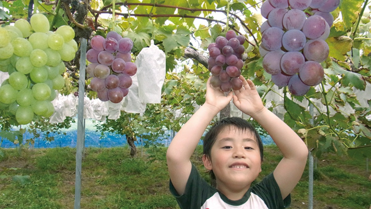 【収穫・手作り体験特集　2022】みどり農園