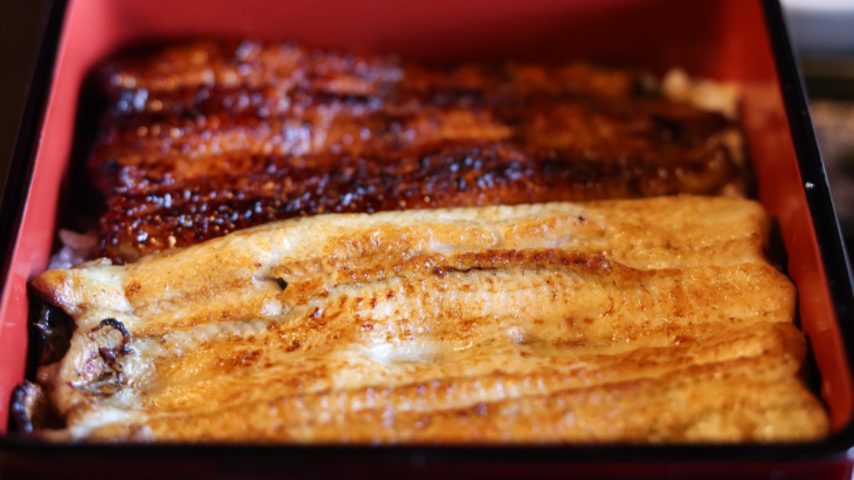 【奈良市】珍しい「うなぎの湯引き」や白焼も楽しめる「あいのせ重」など　蒲焼だけじゃない「鰻」を楽しんで | うな菊