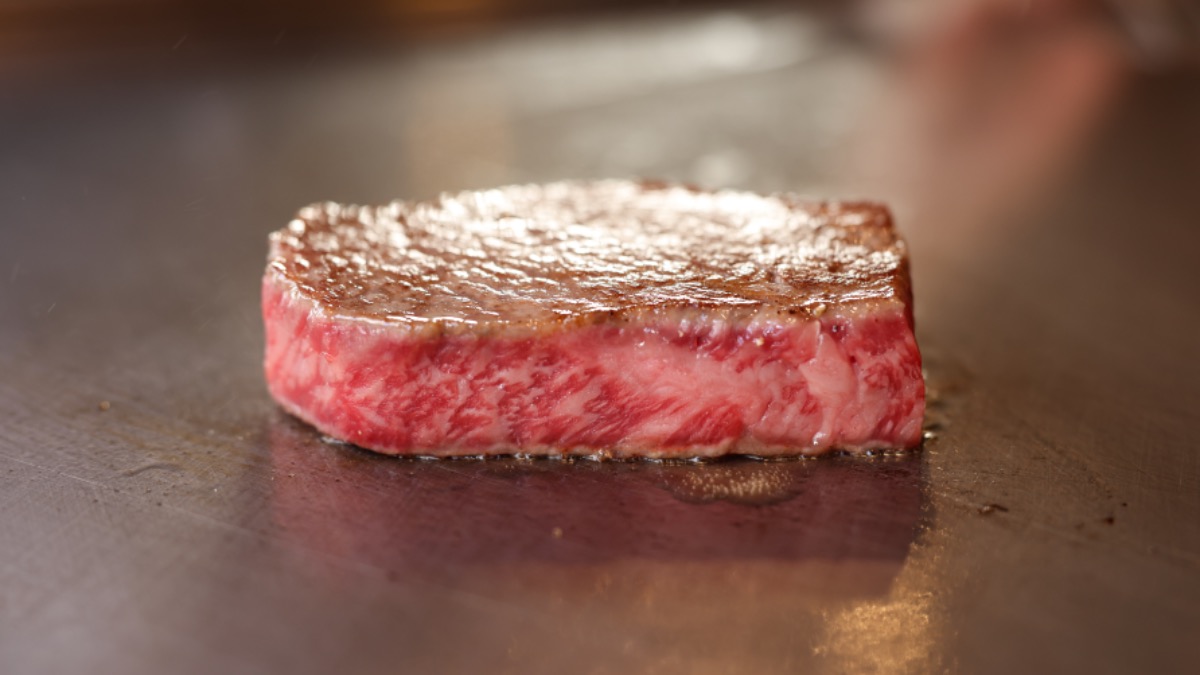 【奈良県】「極上の鉄板焼き」を古都奈良で　締めの「ガーリックライス」もおすすめ｜シェルブルー