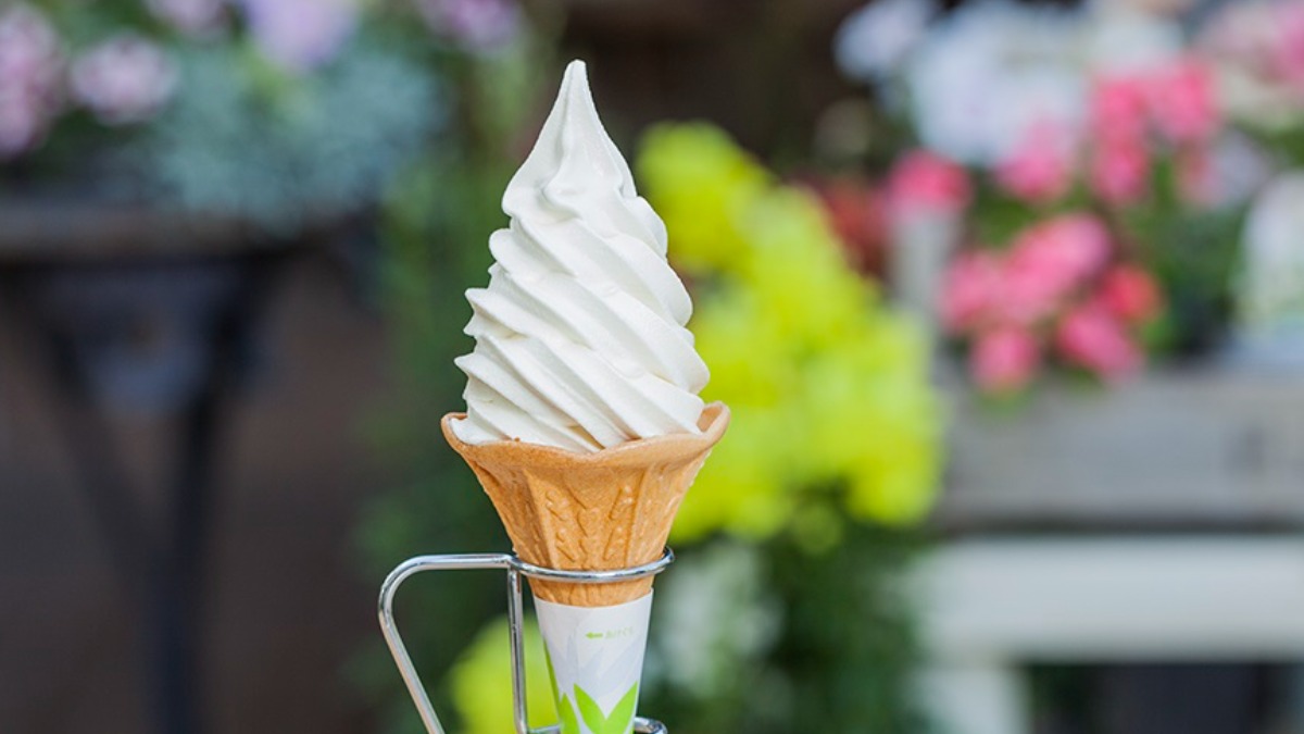 こだわりの豆腐専門店が作る至高の豆乳ソフトクリーム【とうふ匠　豆風花】