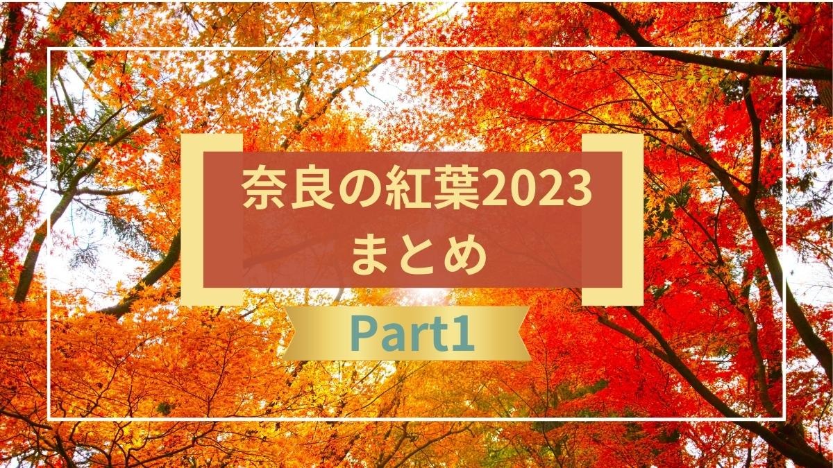【奈良の紅葉2023】深まる秋を堪能しよう！奈良の紅葉スポットまとめ Part1