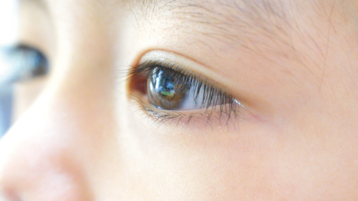 田原本町／街の子育て情報