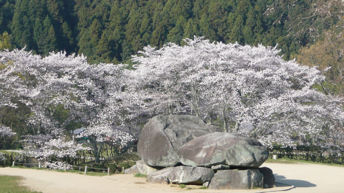 【春の公園ピクニック】国営飛鳥歴史公園