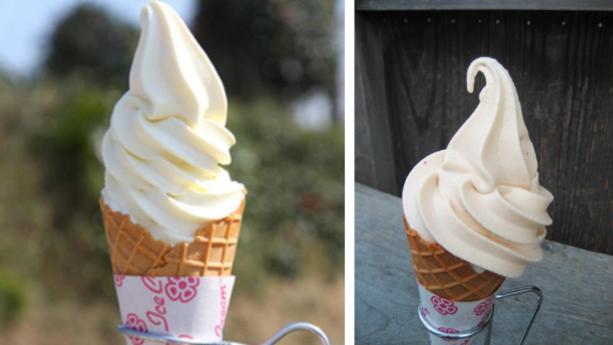 牧場ならではのおいしさ！しぼりたてミルクのソフトクリーム【みるく工房飛鳥／橿原市】