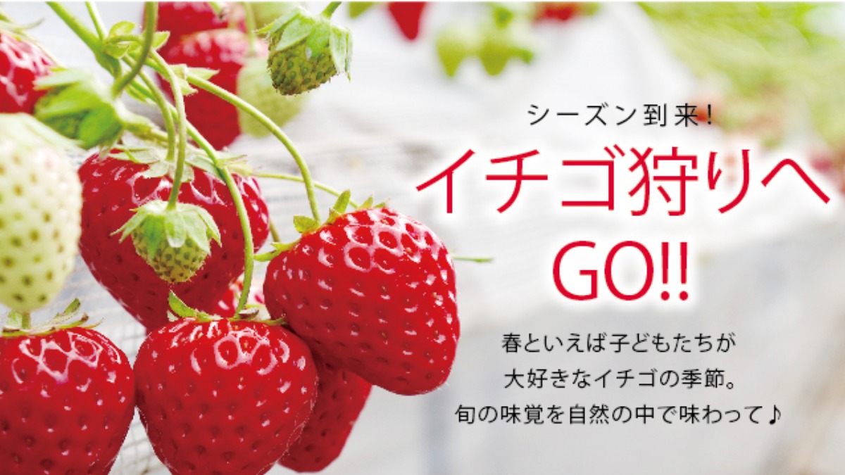 イチゴ狩りへGO!!《2022年春》
