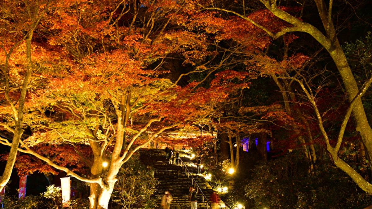 【奈良の紅葉2023】国宝の堂塔が紅葉に包まれる女人高野・室生寺の秋｜宇陀市