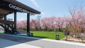 満開の桜をおいしいお酒とともに楽しむ「桜Week」開催！【長龍ブリューパーク｜広陵町】