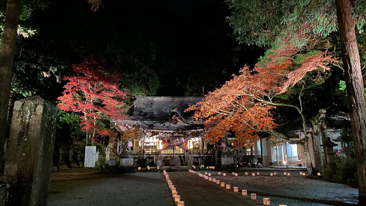 夜の幻想的な「逆さ紅葉」が美しい歴史ある古社【等彌神社｜桜井市】