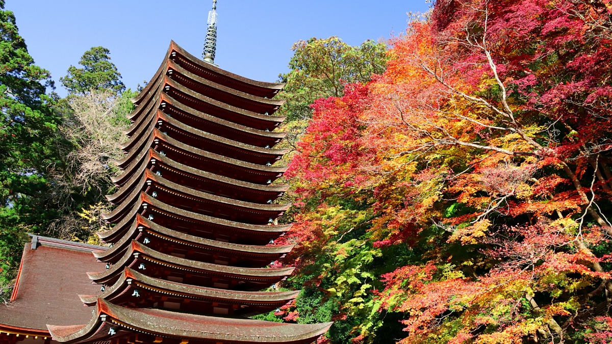 十三重塔と紅葉のコントラストは必見！「関西の日光」ともいわれる紅葉名所【談山神社｜桜井市】