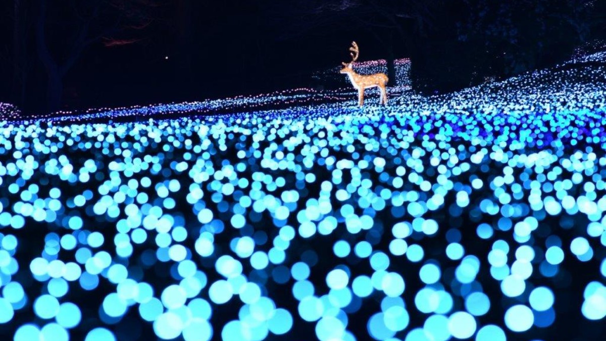 【なら瑠璃絵2026】奈良公園一帯がイルミネーションで輝く！奈良の冬の風物詩