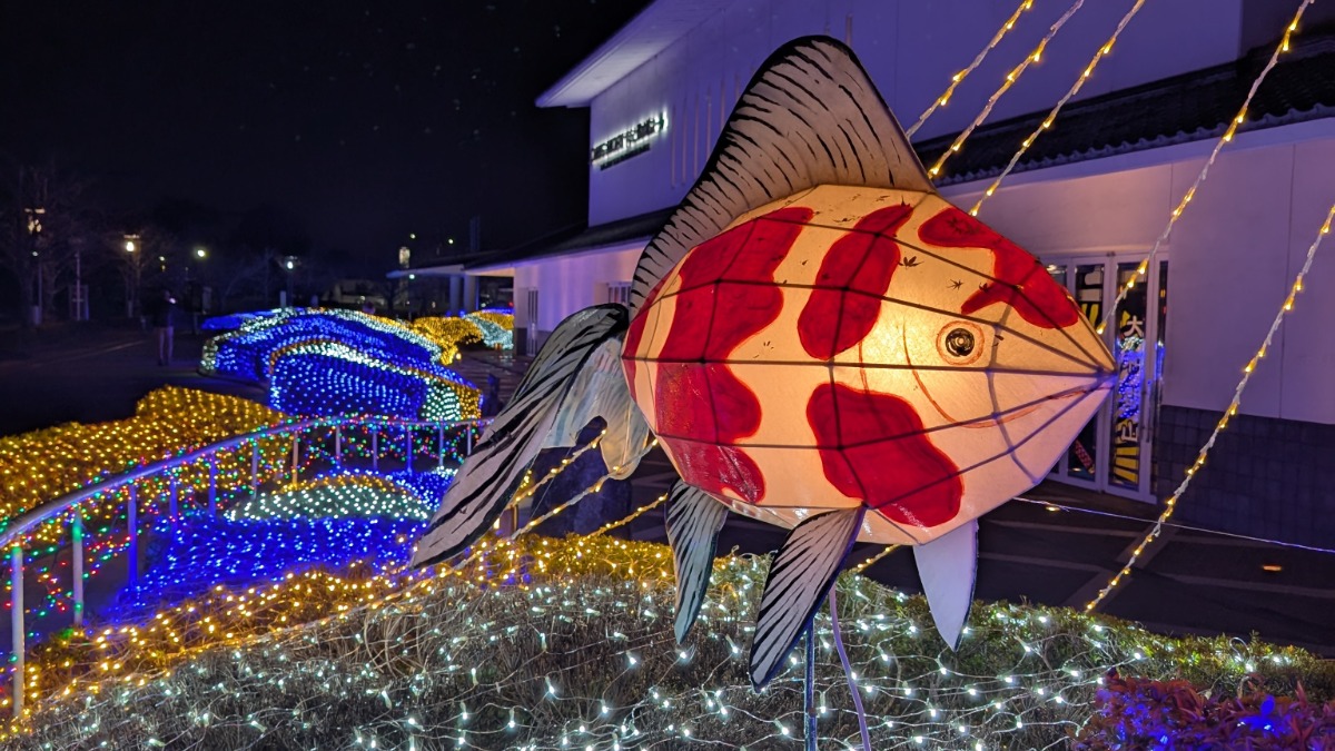 金魚とお城のまちをキラキラと彩る「大和郡山イルミネーション2025」開催【大和郡山市】