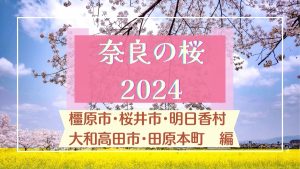 【2024】「橿原神宮」「長谷寺」「大神神社」など　「奈良のおすすめ桜名所・見どころ」ガイド【橿原市・桜井市・大和高田市・明日香村・田原本町編】