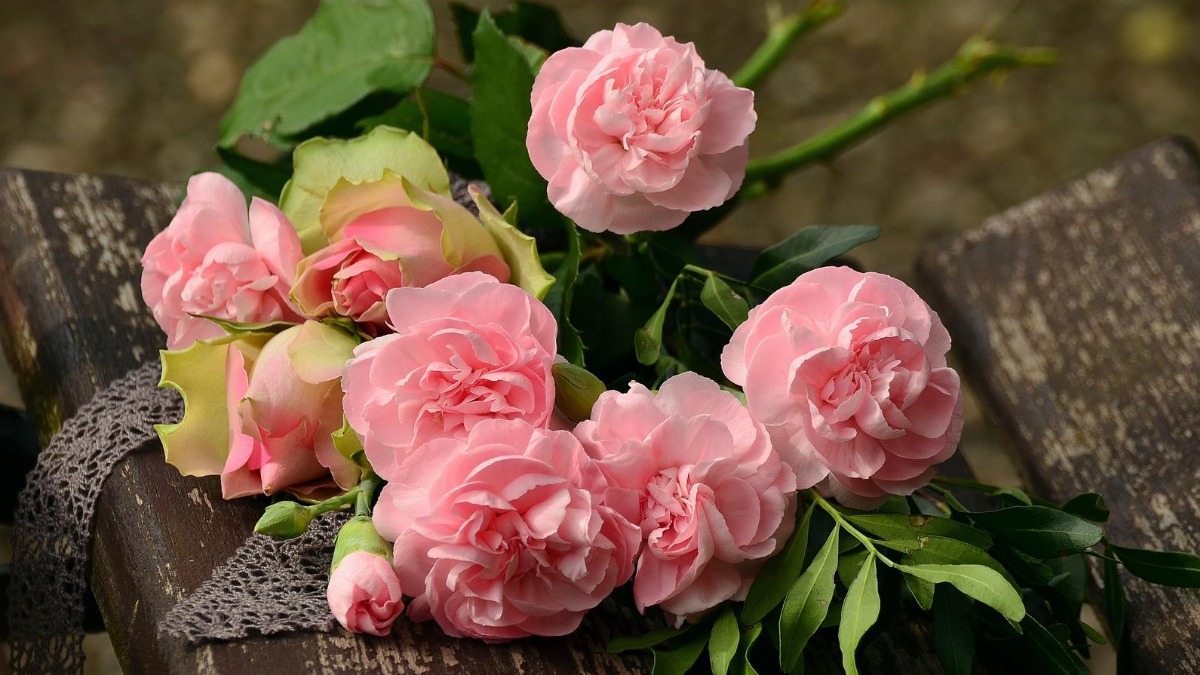 6月2日はローズの日！『おふさ観音バラ園』にバラを観に行こう！【奈良的今日は何の日？】