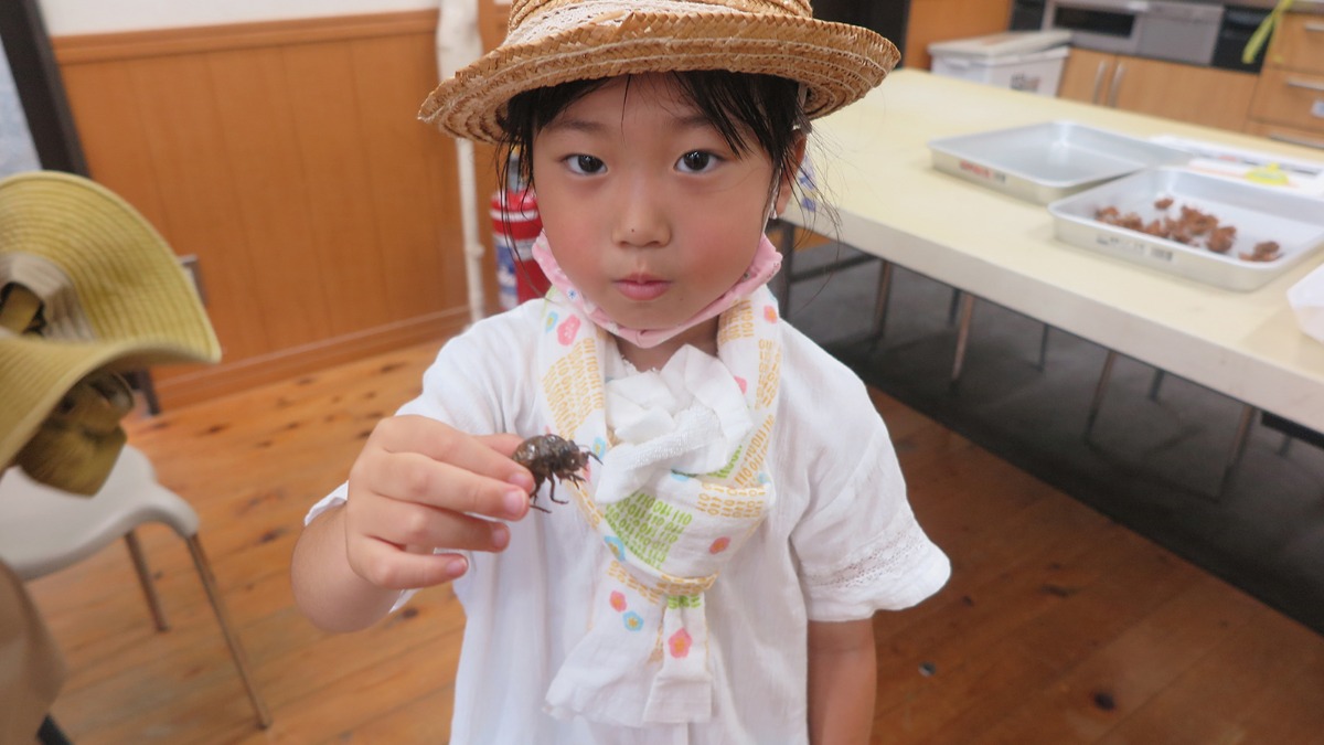 【夏のイベント情報】飛鳥いきもの調査隊「セミの抜け殻調査」