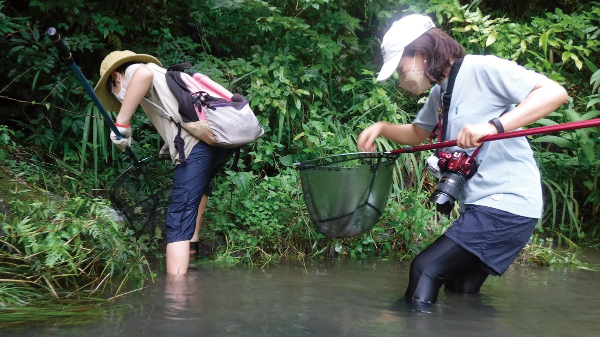 【夏のイベント情報】飛鳥いきもの調査隊「水辺トラップ調査」