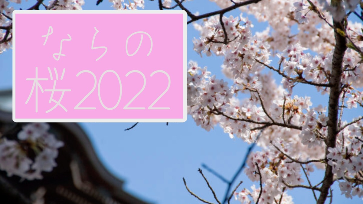 【2022年版】奈良の桜情報＆開花予想