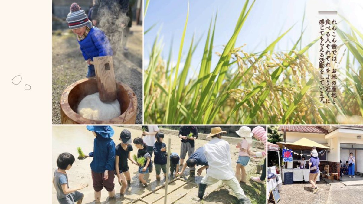 五條市の「れんこん舎」で開催！小さな田植えのマルシェ