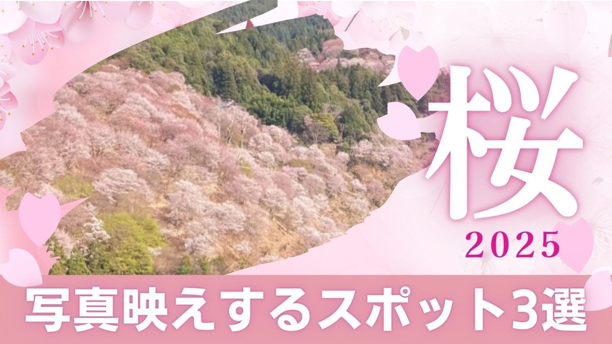 【奈良県】吉野山の絶景桜も！写真映えする唯一無二の桜スポット3選＜2025年版＞