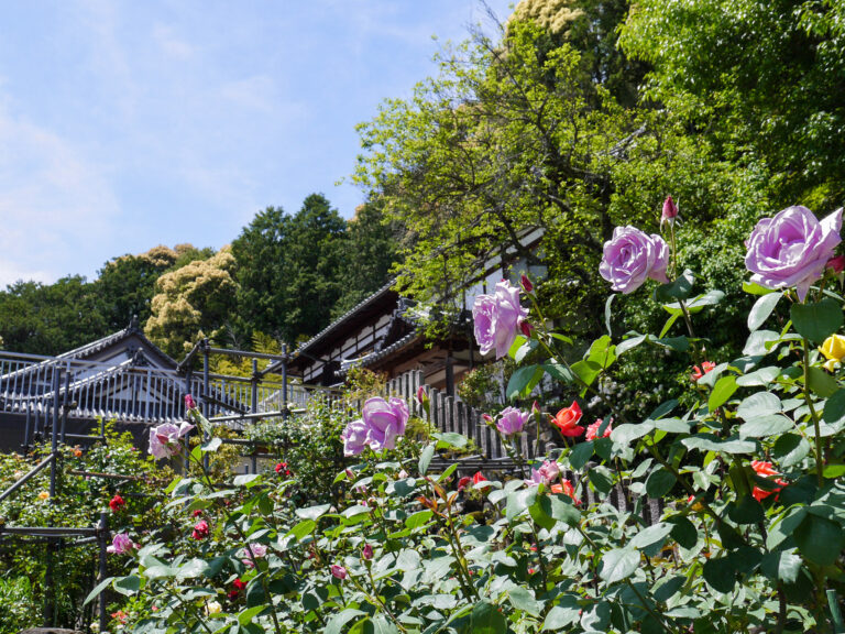 松尾寺