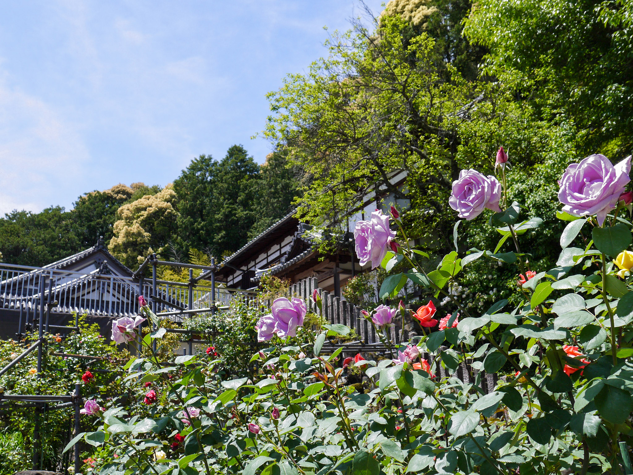 松尾寺
