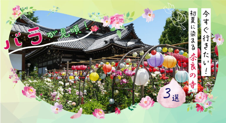 【バラが見頃！】今すぐ行きたい！初夏に染まる奈良の寺３選