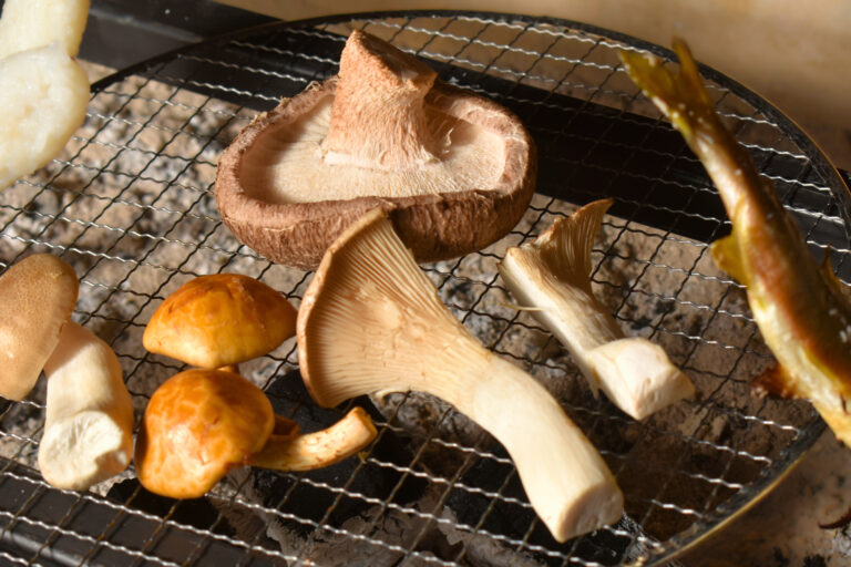 奥大和・東吉野で味わう、採れたての贅沢。『きのこの舘』で楽しむ夏の“山グルメ”