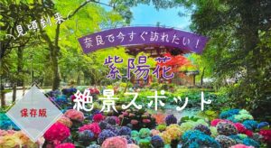 【保存版】奈良で今すぐ訪れたい！あじさい絶景スポット