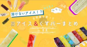 溶けないアイス！？吉野葛を使った「シャリッ・もちっ・ぷるっ」葛アイス＆くずバーまとめin奈良