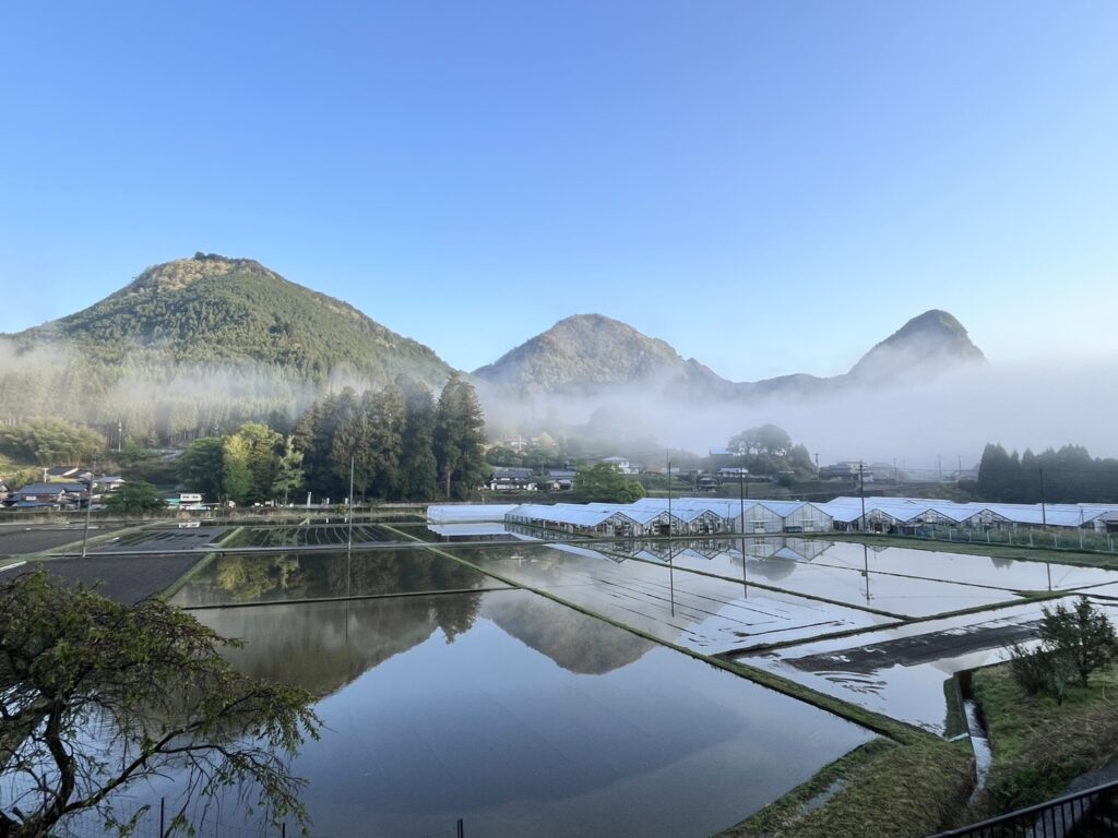 山星