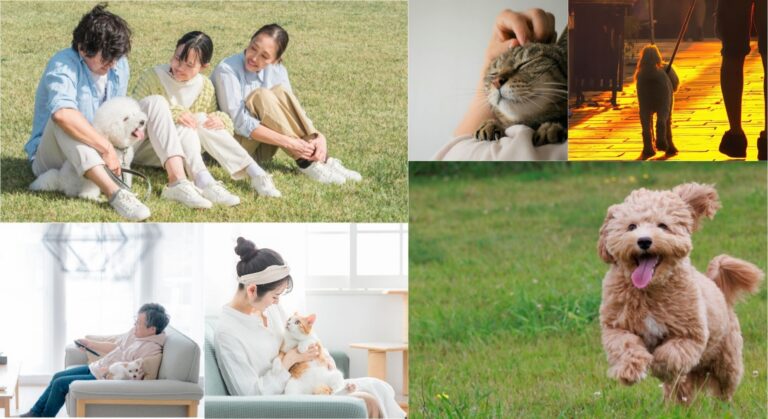 ペットとのエンディング、後悔しないために。専門家が伝える「グリーフケアセミナー」7/19(日)開催