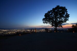 【先着順・予約不要】ドライブ気分で楽しむ奈良の夕景＆夜景。「奈良若草山トワイライト・夜景観賞バス」