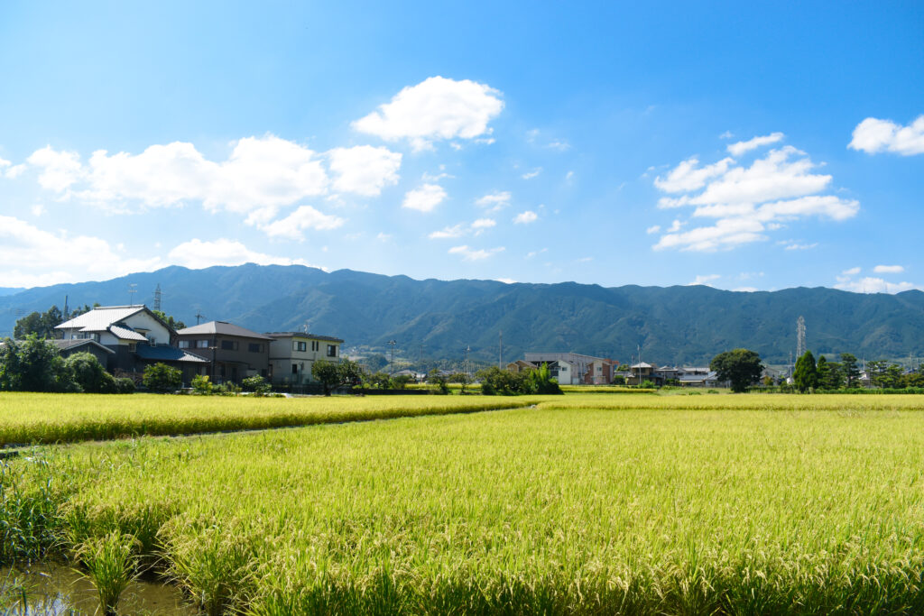 豊臣兄弟ゆかりの一族をたずねて―地元民も知らない、葛城市マニアック探訪「かつらぎさんぽ」 